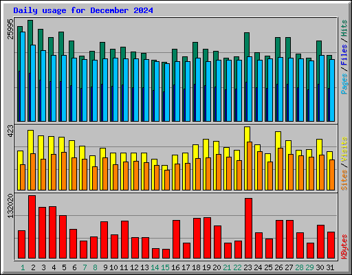 Daily usage for December 2024