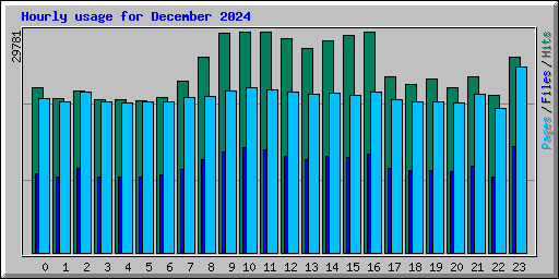 Hourly usage for December 2024