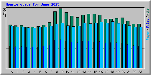 Hourly usage for June 2025